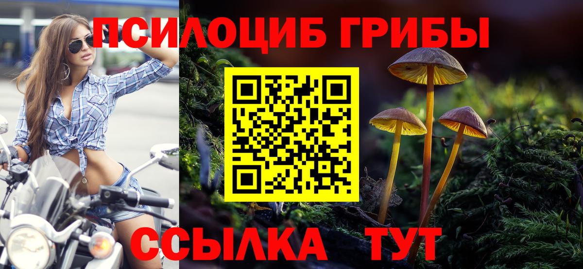 Псилоцибиновые грибы Magic Shrooms Елабуга