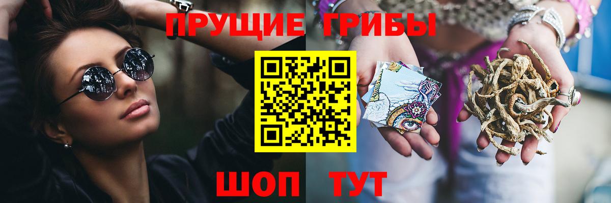 Псилоцибиновые грибы Psilocybine cubensis  закладка  Елабуга  Псилоцибиновые грибы мухоморы  Вход с VPN 